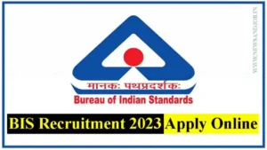 BIS Recruitment 2023 Apply Online: Young Professionals